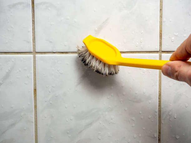 Best Mold Removal Process  in Kiel, WI