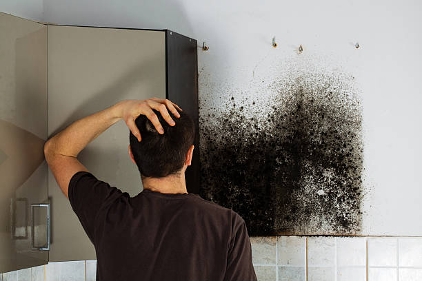 Best Residential Mold Removal  in Kiel, WI